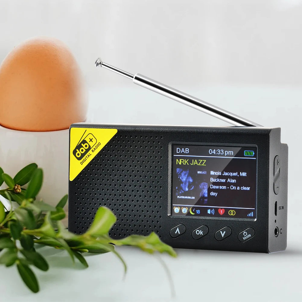 HOSPORT Portable Digital Radio Bluetooth 5.0 DAB FM Receiver Rechargeable